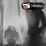 Фотовыставка \"Мир вокруг нас\"